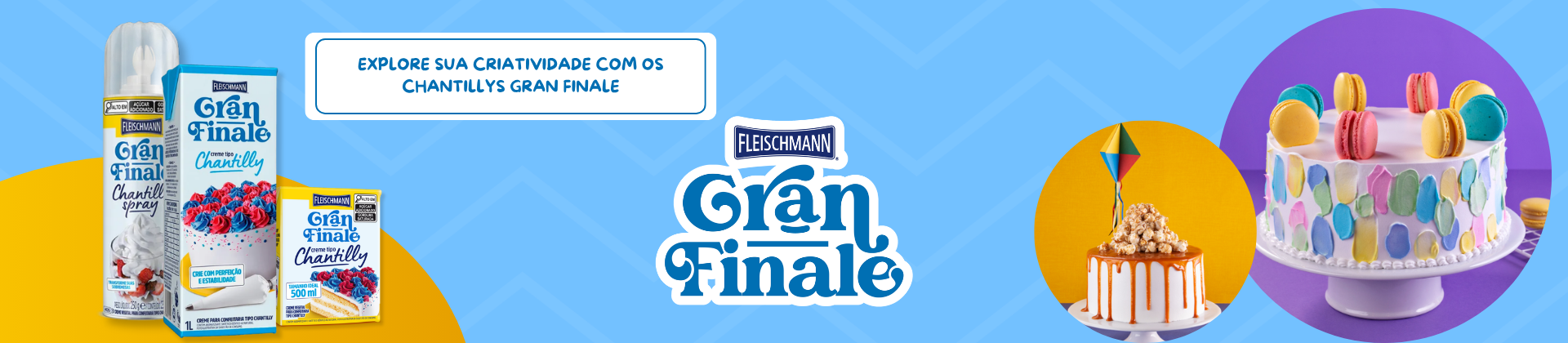 FLEISCHMANN INTEIRO DESKTOP