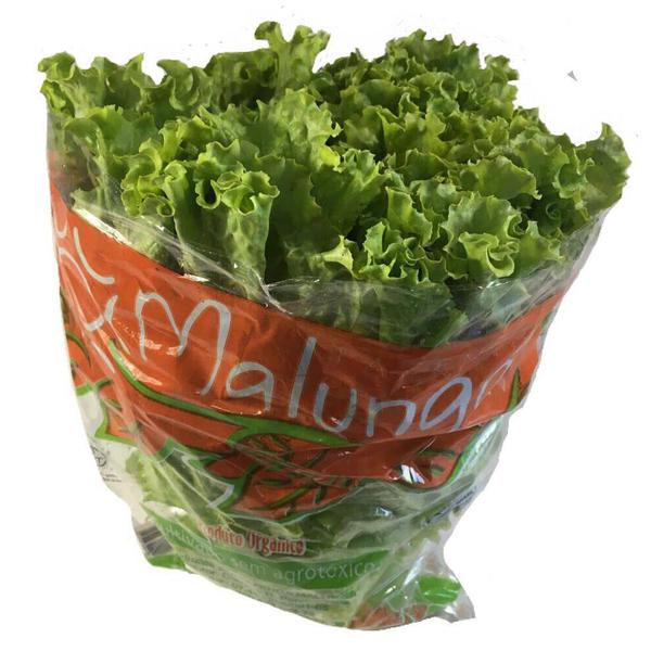 ALFACE CRESPA 180G ORGANICO