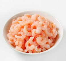 CAMARÃO SETE BARBAS