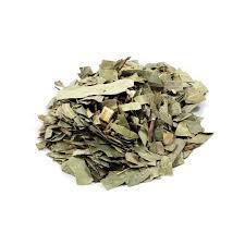 EUCALIPTO CHÁ ORIGINAL DA TERRA 30g