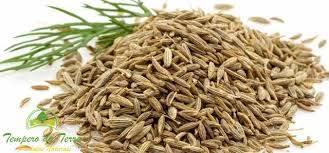 FUNCHO CHÁ ORIGINAL DA TERRA 40g