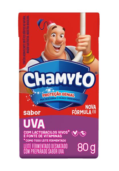 LEITE FERMENTADO CHAMYTO 480G BOX UVA