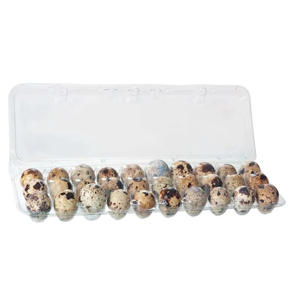 OVO CODORNA 30 UNIDADES JOSIDITH