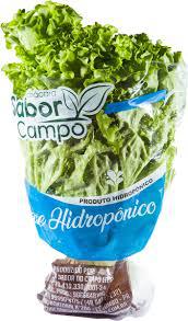 Alface Sabor Do Campo Un Hidropônica