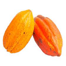 Cacau Kg