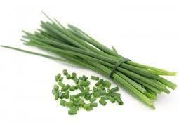 Cebolinha Un Adoratto Folha