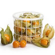 Physalis 100g
