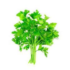 Salsinha Adoratto Un