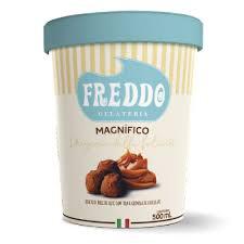 Sorvete Freddo 500ml Magnifico