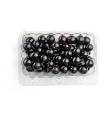 Xjabuticaba Bdj