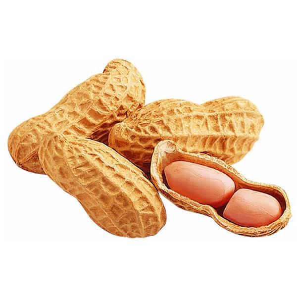 AMENDOIM EM CASCA KG