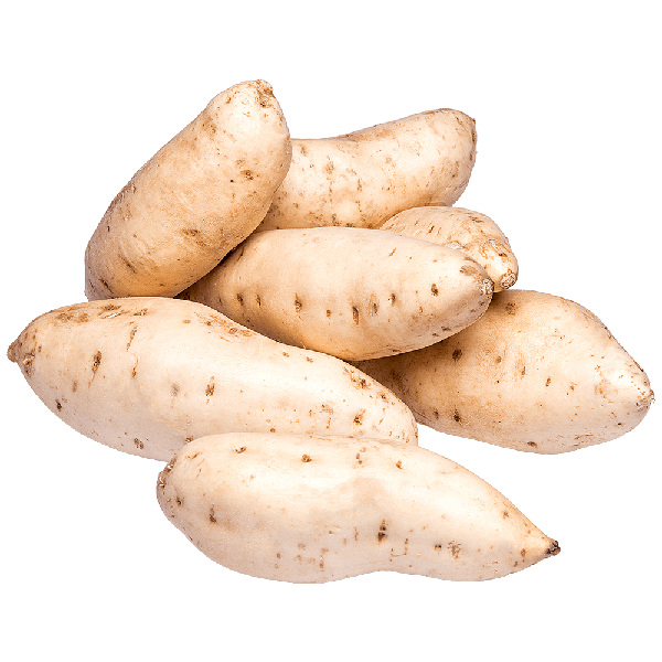 BATATA DOCE BRANCA KG