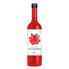 XAROPE SANTO SHOT CRANBERRY 500ML