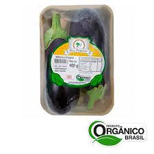BERINJELA ITALIANA BEE ORGANIC - 400G