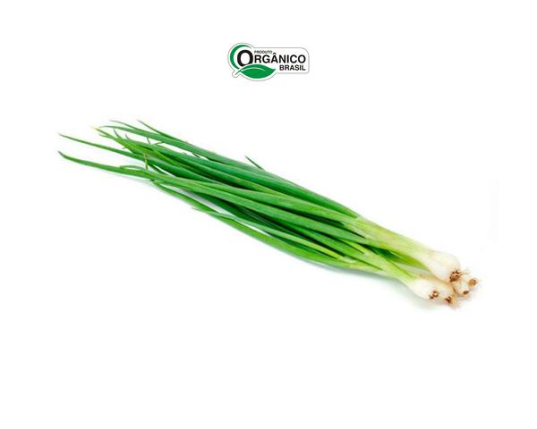 CEBOLINHA ORGANICA BEE ORGANIC - 70G