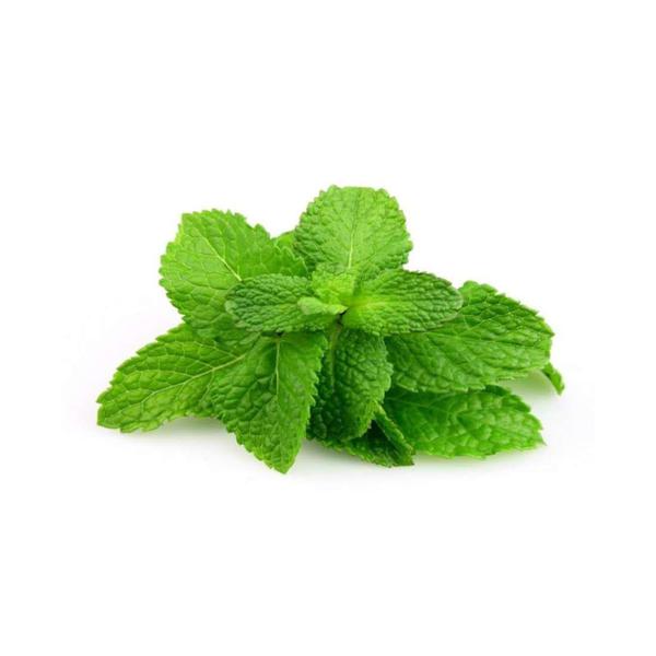 HORTELÃ ORGANICO 70G