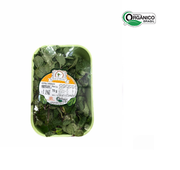 MANJERICÃO ORG BEE ORGANIC - 70G
