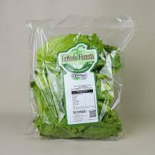 ORGANICOS DO SUL ALFACE CRESPA-150G