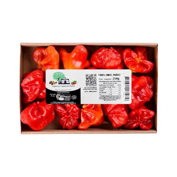 PIMENTA CAMBUCI ORGANICO CAPELA-250 G