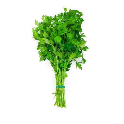 SALSINHA ORGANICA BEE ORGANIC - 70G