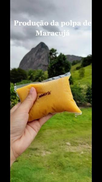 AGRO POLPA MARACUJA 400G