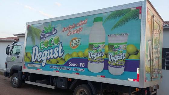 AGUA DE COCO DEGUST 500 ML