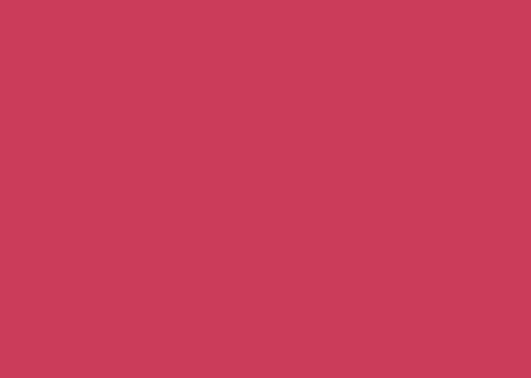 CARTOLINA COLOR SET MAIS 48X66 VERMELHO