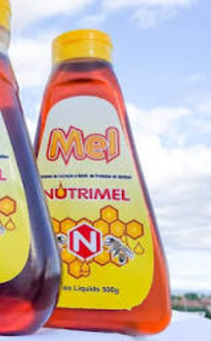 MEL DE BISNAGA NATURAL NUTRIMEL 500G
