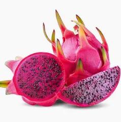 PITAYA KG