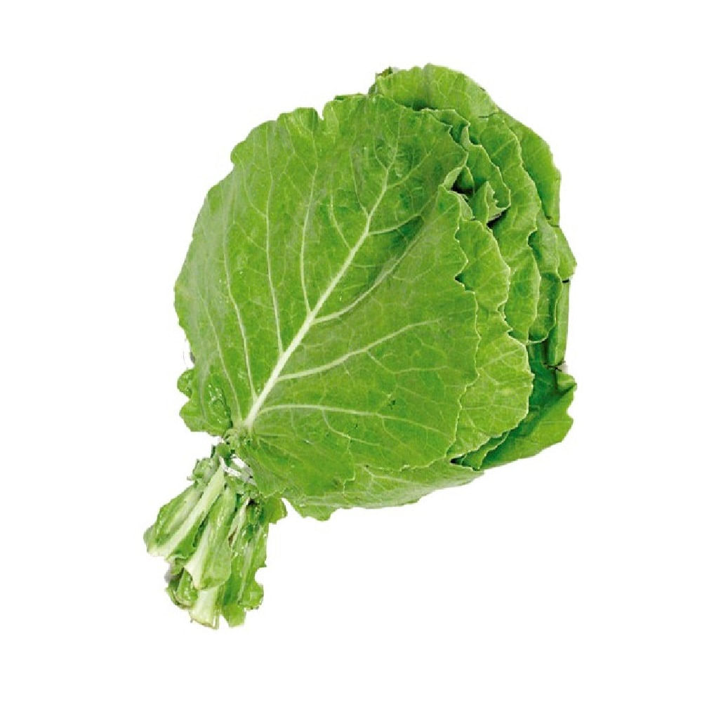 COUVE MANTEIGA CAMPO ALEGRE UN