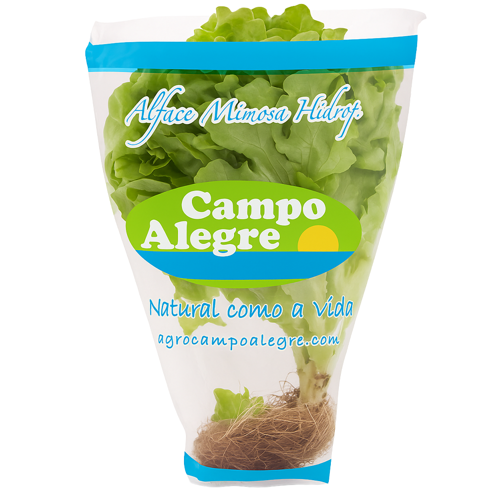 ALFACE MIMOSA HIDRO CAMPO ALEGRE UN