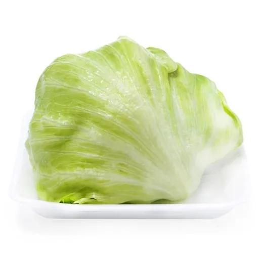 ALFACE AMERICANA BDJ PARAISO VERDE