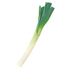 ALHO PORO BDJ PARAISO VERDE 150G