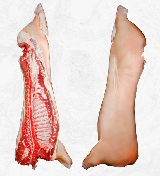 CARCACA SUINO RESF KG QUALISUI