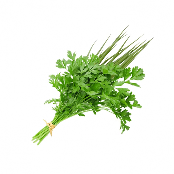 FOLHA CHEIRO VERDE COENTRO/CEBOLINHA UND