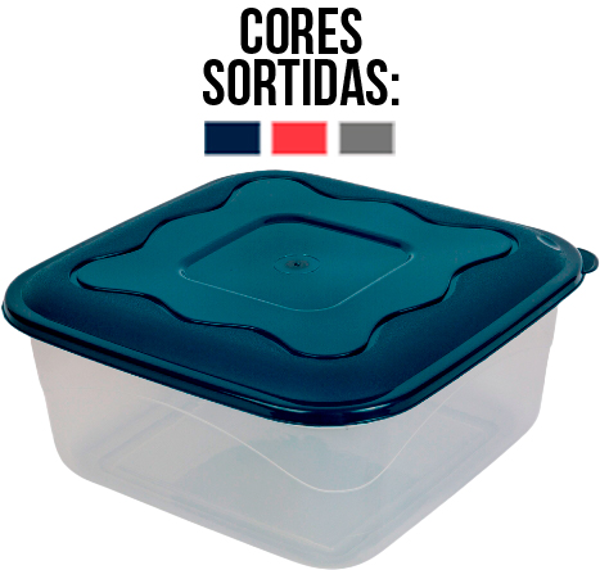 ORGANIZADOR PLAST PURA CASA 4,1L R0963