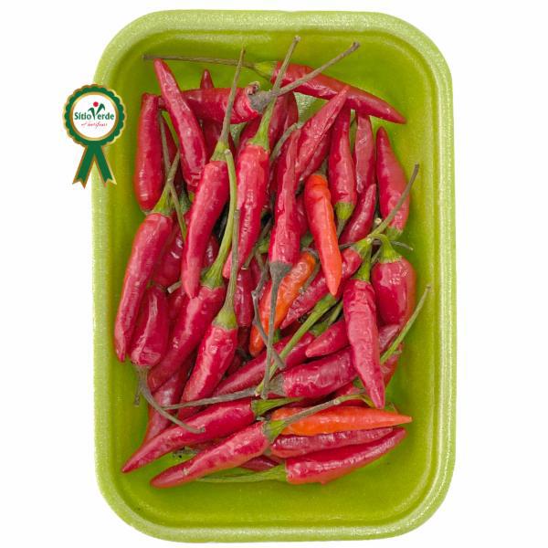 PIMENTA MALAGUETA BDJ PARAISO VERDE