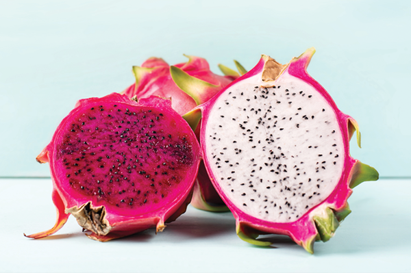 PITAYA KG
