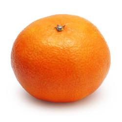 MEXERICA POKAN/MORGOTE KG