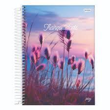 CAD  ESPI CD 1X1 80FLS PAZ