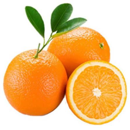 LARANJA SUCO KG
