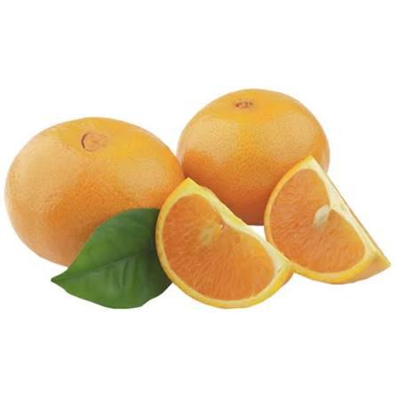 LARANJA UMBIGO IMPORTADA KG