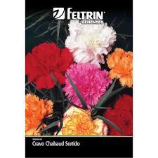 SEMENTE FELTRIN FLOR TAGETE