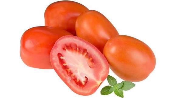 TOMATE ITALIANO KG