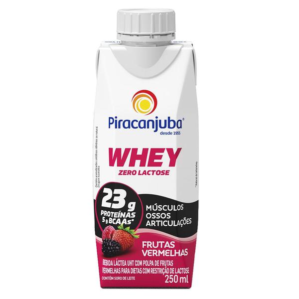 BEBIDA LACTEA WHEY 23G DE FRUTAS VERMELH