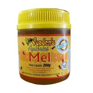 MEL EUCALIPTO VUADENS APIARIO 250G