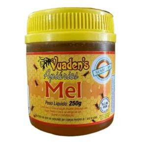 MEL SILVESTRE VUADENS APIARIO 250G