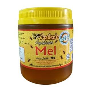 MEL UVA JAPAO VUADENS APIARIO 1 KG