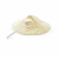 WHEY PROTEIN CONC 80% NATURAL KG