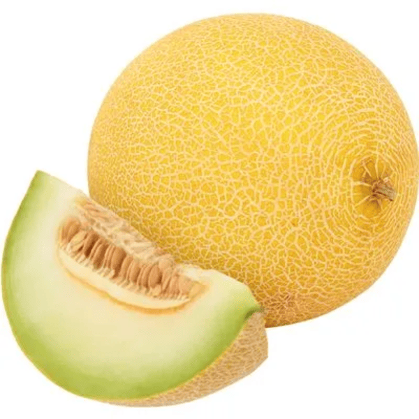 FRUTAS MELÃO GALIA KG